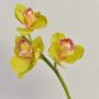 Ramo decorativo di orchidea Cymbidium SERAPHINA, verde-rosa, 45 cm, Ø 10-13 cm