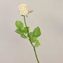 Rosa artificiale OPHELIE, rosa crema, 85 cm, Ø 7 cm