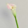 Zantedeschia artificiale TALEA, bianco-rosa, 65 cm, 9x11 cm