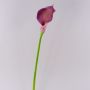 Calla decorativa TERESA, viola, 70cm, 10x18cm