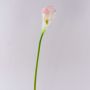 Calla decorativa TERESA, bianco-rosa, 70cm, 10x15cm