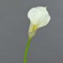 Calla decorativa TERESA, crema, 70cm, 10x18cm