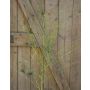 Ramo di erba da fontana artificiale ZORANA, verde, 115 cm