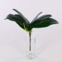 Foglie decorative di orchidea Phalaenopsis DAPHI, radici aeree, 29x33 cm