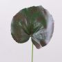 Foglia di geranio sintetica HEIDEGARD, verde-rosso, 38cm, Ø14cm