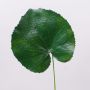 Foglia di geranio sintetica HEIDEGARD, verde, 38cm, Ø14cm