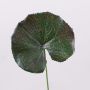 Foglia di geranio sintetica HEIDEGARD, verde-rosso, 38cm, Ø11cm