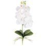 Orchidea Phalaenopsis artificiale DRINTOR, asta di sostegno, radici, bianca, 40 cm