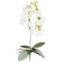 Orchidea Phalaenopsis artificiale DRINTOR, asta di sostegno, radici, bianco-verde, 40 cm