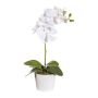 Orchidea Phalaenopsis artificiale TRALKE, stelo, radici, bianca, 40 cm