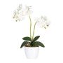 Orchidea Phalaenopsis artificiale FRUXO, bastoncino, radici, bianca, 50 cm