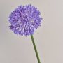 Fiore decorativo allio ornamentale LISBETH, lilla, 80 cm, Ø 15 cm