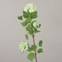 Vitevola artificiale DJAMILA, bianco-verde, 75cm, Ø4-8cm