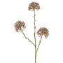 Allium decorativo ALIKIO, viola, 65 cm, Ø 7 cm
