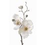 Magnolia decorativa MALBINE, bianco, 50cm, Ø7-10cm