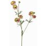 Ranuncolo in velluto YARIS, verde-rosa, 65 cm, Ø 3-4,5 cm