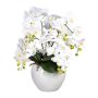 Composizione floreale artificiale con orchidea Phalaenopsis WEMBER, salice a spirale, vaso in ceramica, radici, bianco, 55 cm