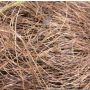 Fibra naturale di sisal GIUSEPPA, marrone, 20 g