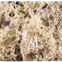 Vero muschio di renna FINNBJÖRN, naturale, 50g