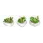 Composizione artificiale di piante grasse SORIPI, 3 pezzi, ciotola a forma di cuore in cemento, verde-rosa, 7cm