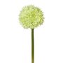 Fiore artificiale Allium WANDENY, verde crema, 65 cm