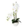 Orchidea Phalaenopsis artificiale DINKA in ciotola di ceramica, con radici, bianca, 50 cm