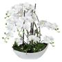 Composizione decorativa con orchidea e salice a spirale TANIN, ciotola in ceramica, radici, bianco, 70cm
