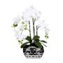 Orchidea Phalaenopsis artificiale SINKA in vaso decorativo argento, bianca, 55 cm