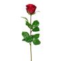 Fiore artificiale: rosa NORLAN, rosso, 70 cm, Ø 8 cm