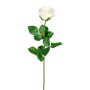 Fiore artificiale Rosa NORLAN, color crema, 70 cm, Ø 8 cm