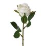 Fiore di plastica rosa EMBERY, bianco, 45 cm, Ø 6 cm