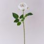 Rosa artificiale MARNUK, color crema-bianco, 60 cm, Ø 9 cm