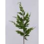 Ramo artificiale di tuia STERNYN, verde, 85 cm
