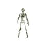 Figura di Halloween piccolo scheletro WENDELIN ricoperto di muschio, 40cm