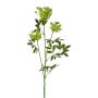 Ramo artificiale di carota selvatica TOLHER, verde, 85cm