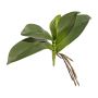 Foglie decorative di orchidea Phalaenopsis BRULST, stelo, radici, 25 cm