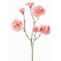 Ramo decorativo di garofano STURYN, rosa chiaro, 55cm, Ø2,5-6cm
