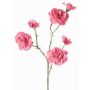 Ramo decorativo di garofano STURYN, rosa, 55cm, Ø2,5-6cm