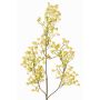 Ramo decorativo di gipsofila MURMYN, giallo-verde, 65 cm