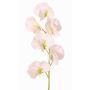 Fiore sintetico Lathyrus WAHNY, bianco-verde, 45cm, Ø5,5cm