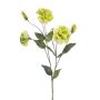 Lisianthus artificiale RENARA, verde chiaro, 75 cm