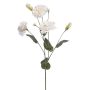 Lisianthus artificiale RENARA, bianco, 75 cm