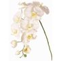Ramo fiorito artificiale di orchidea Phalaenopsis WESA, bianco, 90 cm, Ø 11-12,5 cm