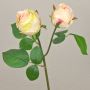 Fiore sintetico rosa RENATUS, crema-rosa, 45cm, Ø6-8cm