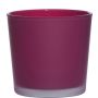 Fioriera in vetro ALENA FROST, magenta opaco, 11cm, Ø11,5cm