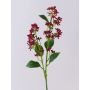 Ramo di viburno artificiale LABIBA con boccioli, rosso, 60 cm, Ø 2,5-5 cm