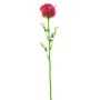 Rosa in plastica EVARISTO effetto vetro, 12 pezzi, rosso bordeaux, 80 cm