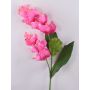 Ramo di fiori artificiale Medinilla LASENTER, rosa, 110 cm