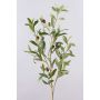 Ramo di ulivo in plastica ROVUMA con frutti, verde, 95cm