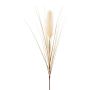 Pannocchia di erba della pampa artificiale WALNIN, beige, 100 cm